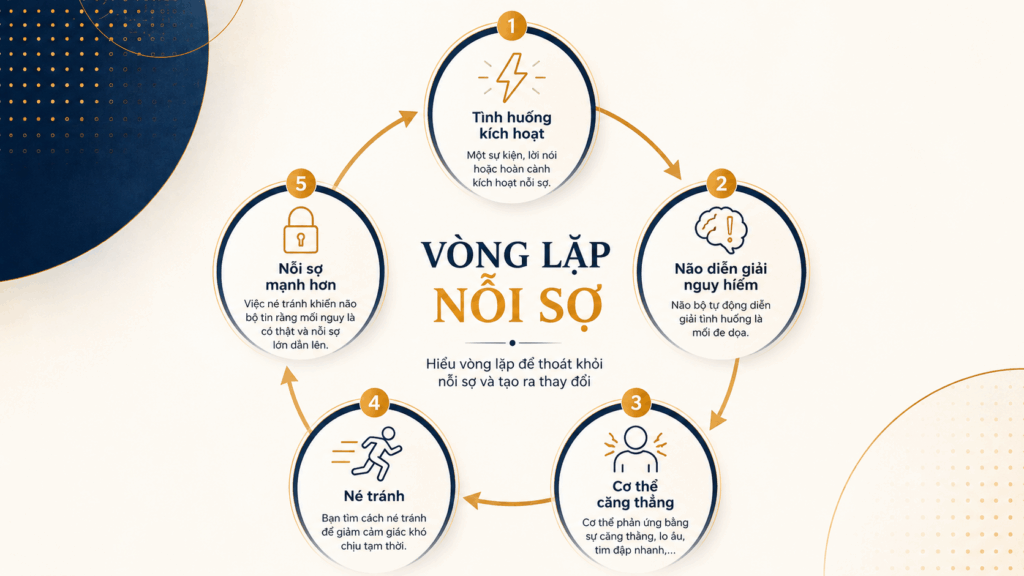 vòng lặp nỗi sợ của con người và hành vi né tránh